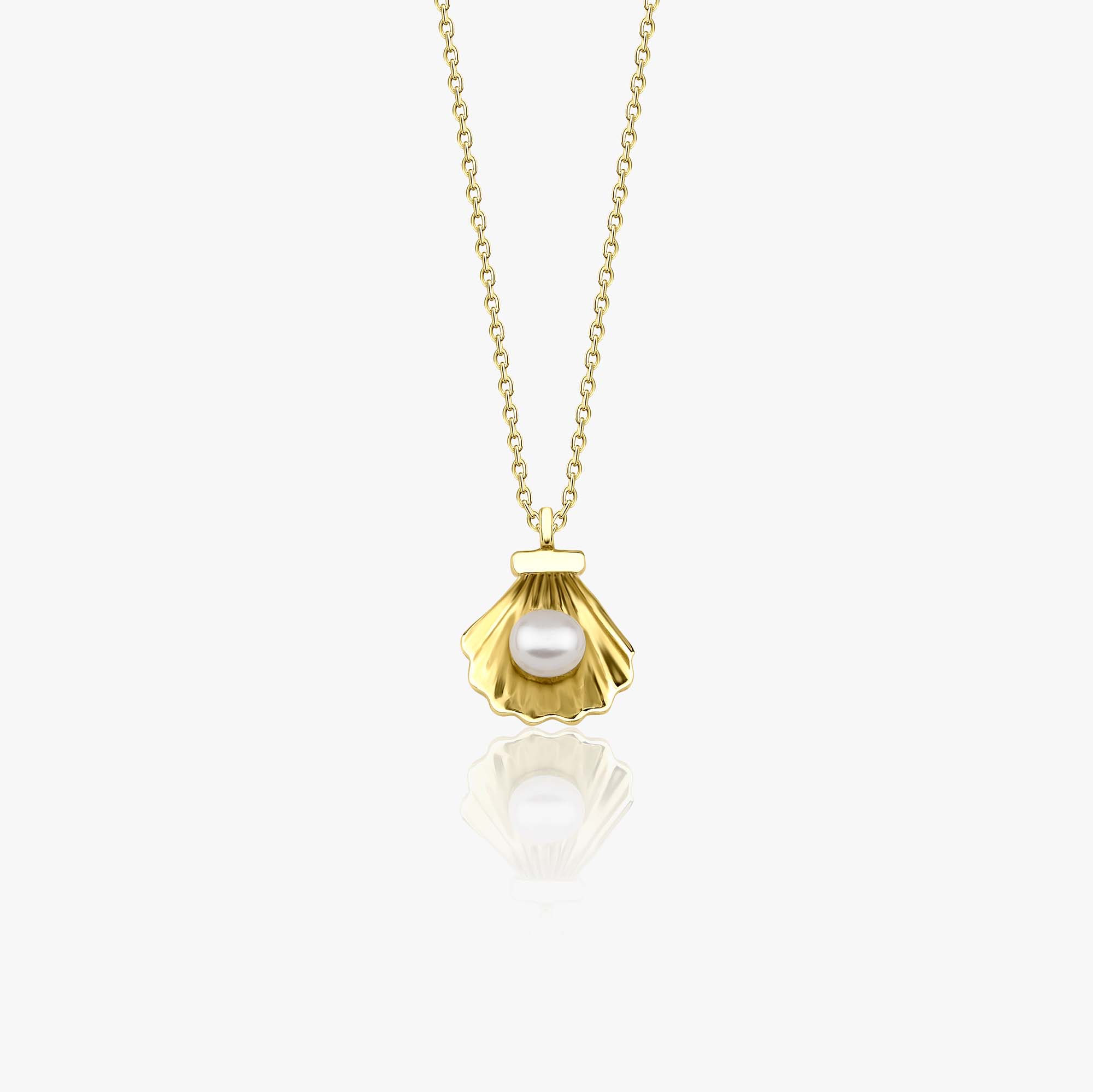 14k yellow gold necklace with a shell pendant featuring a pearl on a white background