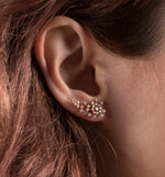 Diamond Earrings / The Diamond Comet
